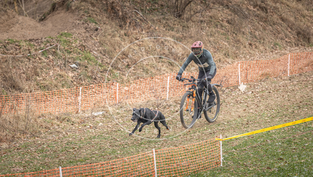 Pfotenfotografie_DV3A6855 | Hundefotografie, Tierfotograf, Pfotenfotografie, Fotoshooting Hund, Hunde Portrait, Hundesport, Hundeportraits, Heideshooting, Hunde, Sportfotograf, Hundefotograf, Turnierhundsport, THS,  - Realisiert mit Pictrs.com