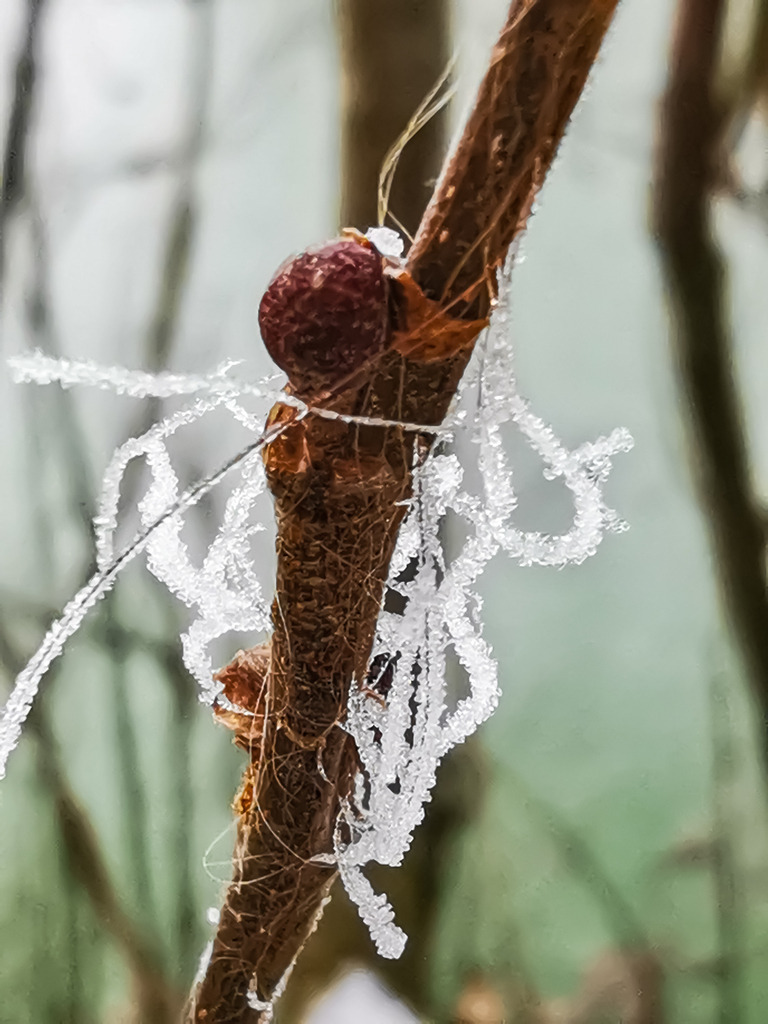 PSX_20230303_233624 | mtkfoto_ - Realisiert mit Pictrs.com