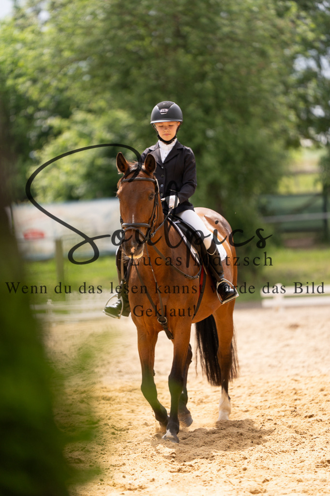 A7505947 | Turnier/Reitfotograf