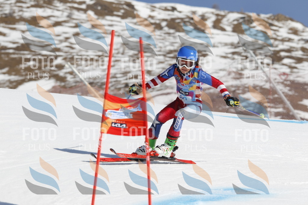 _U3G9608 | holidayphoto