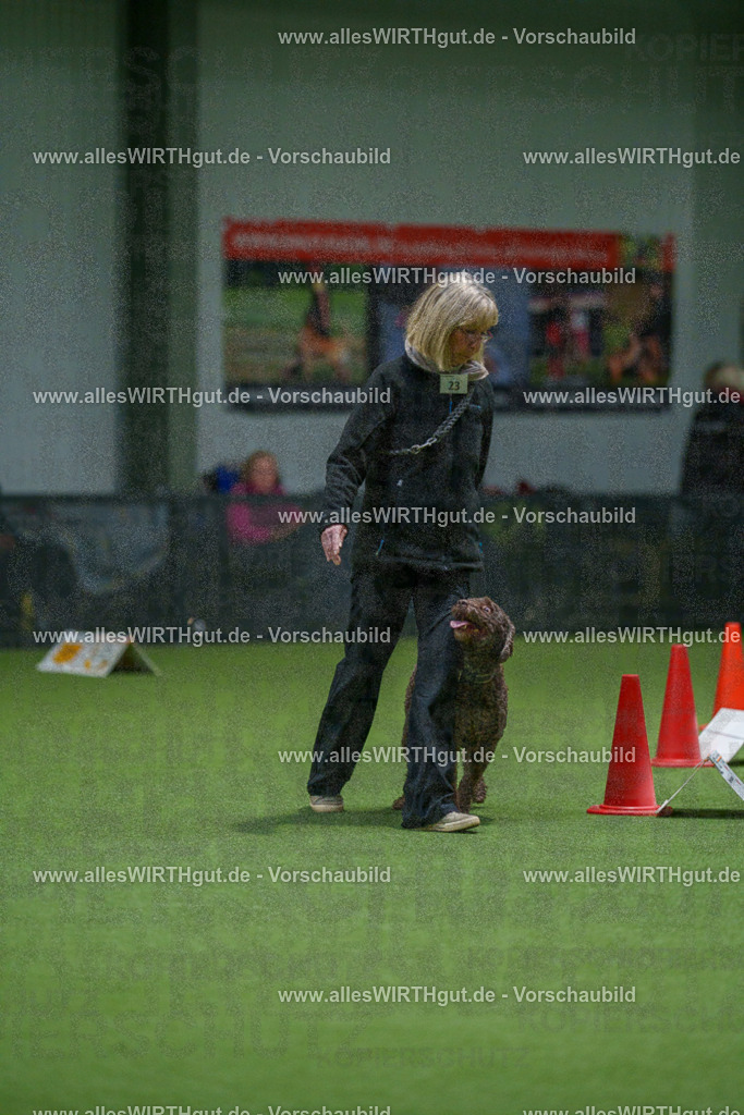 7R504927 | Professionelle Tierfotografie in Mönchengladbach von Daniel Wirth (allesWIRTHgut). Liebevolle & natürliche Bilder von Hunden & Katzen für unvergessliche Erinnerungen.