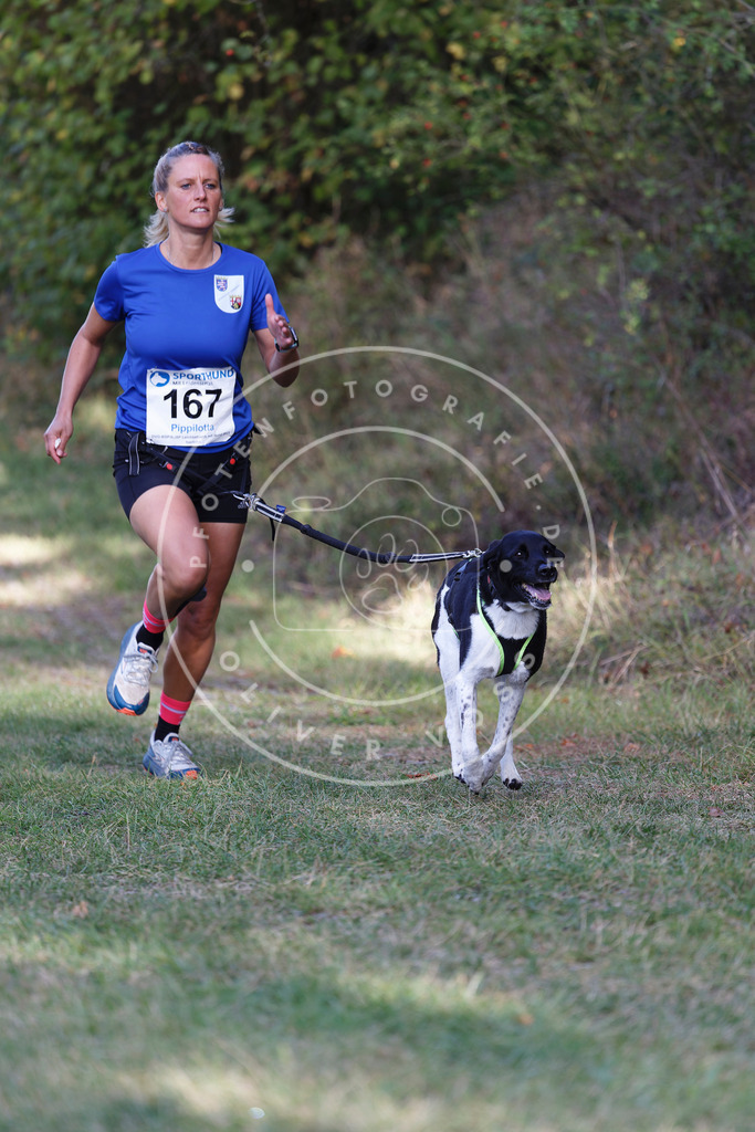 0L8A5270 | Hundefotografie, Tierfotograf, Pfotenfotografie, Fotoshooting Hund, Hunde Portrait, Hundesport, Hundeportraits, Heideshooting, Hunde, Sportfotograf, Hundefotograf, Turnierhundsport, THS,  - Realisiert mit Pictrs.com