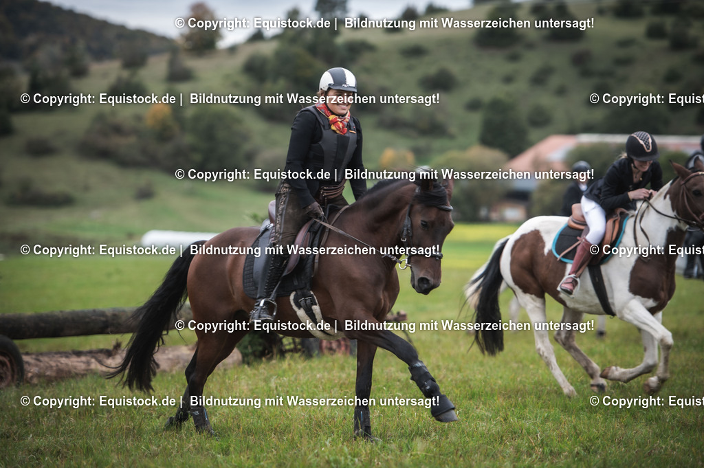 20241013_Jagd-Marbach_0242 | Foto: Thomas Hartig