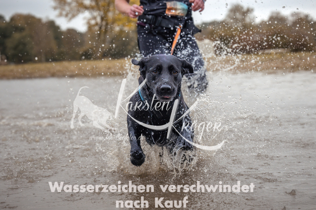 1358_ZZ95166 | kk-dogfotos