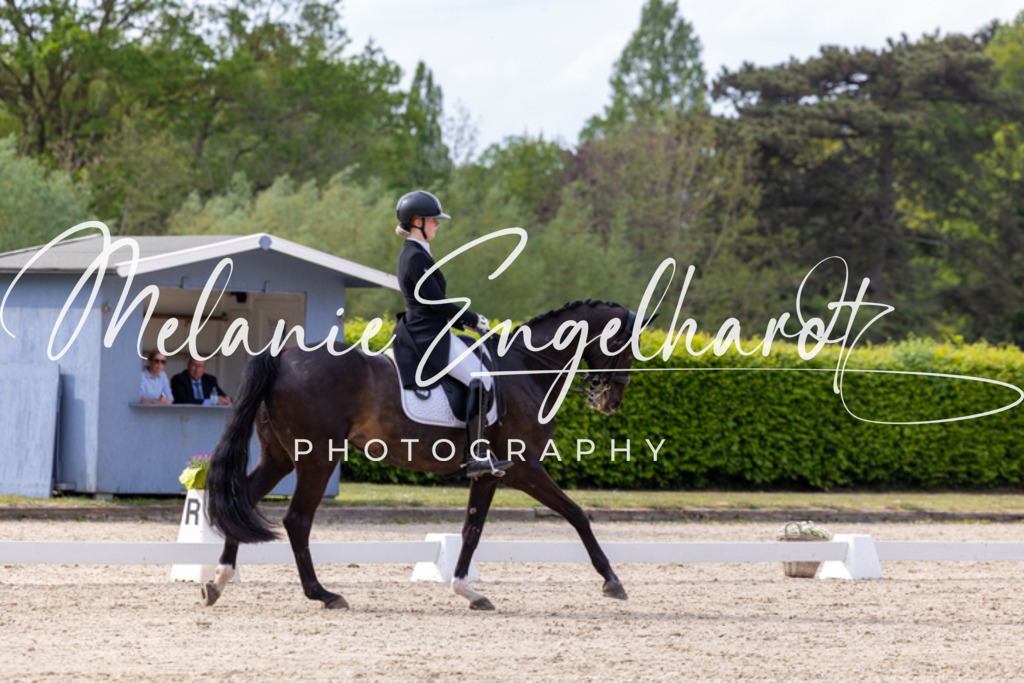 7I8A1360 | melanie-engelhardt-photography - Realisiert mit Pictrs.com