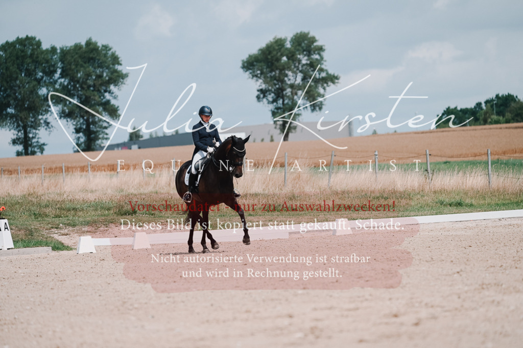 DSC_4287 | Pferde- und Turnierfotografie in Westsachsen. Pferdeportraits, Auftragszeichnungen und intuitive Kunst.