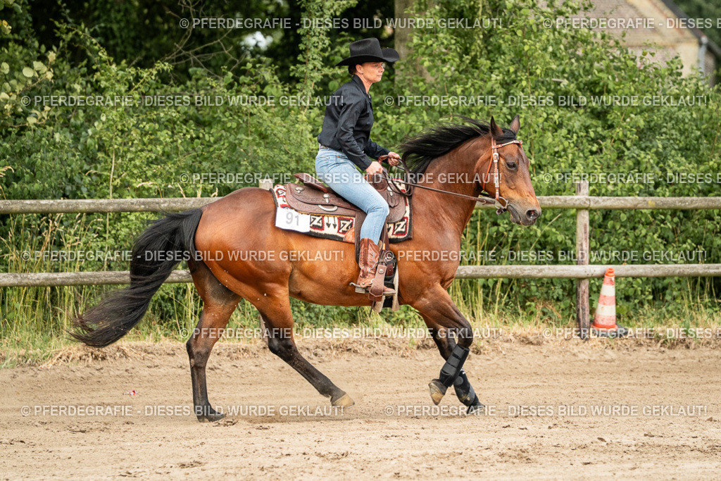 DSC05076 | Pferdegrafie