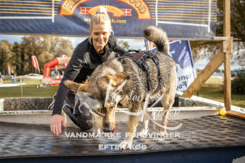 1524_ZZ96680 | kk-dogfotos