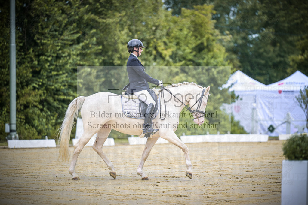 DOS_0749 | Entdecke hochwertige Reitturnierfotos von Foto Oger. Professionell, emotional und authentisch – jetzt Lieblingsmomente im Shop bestellen.Deutschlandweite Turnierfotografie. - Realisiert mit Pictrs.com