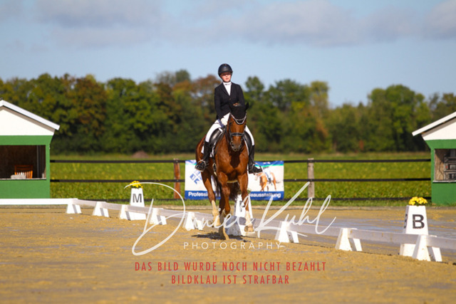 DKP44980 | Turniersportfotografie; Pferdefotografie; Dressurfotografie