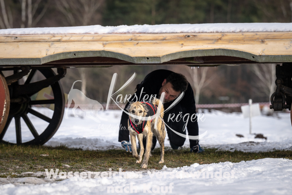 0818_ZZ91276-5 | kk-dogfotos