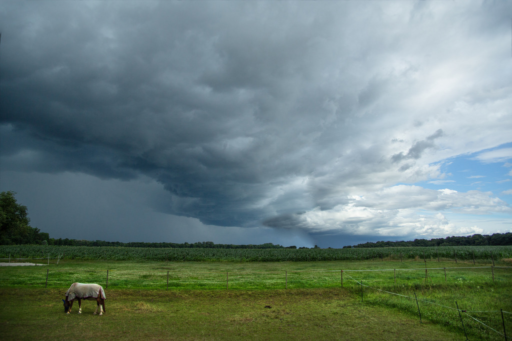 JuliGewitter_Wolken_8362 Kopie | Juligewitter bei Renchen