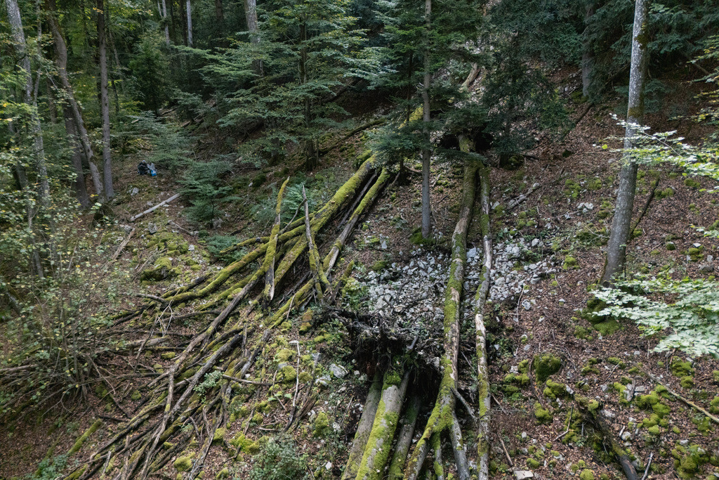 ZD250916101214 | default