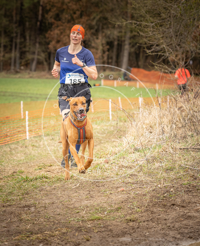 DV3A2587 | Hundefotografie, Tierfotograf, Pfotenfotografie, Fotoshooting Hund, Hunde Portrait, Hundesport, Hundeportraits, Heideshooting, Hunde, Sportfotograf, Hundefotograf, Turnierhundsport, THS,  - Realisiert mit Pictrs.com