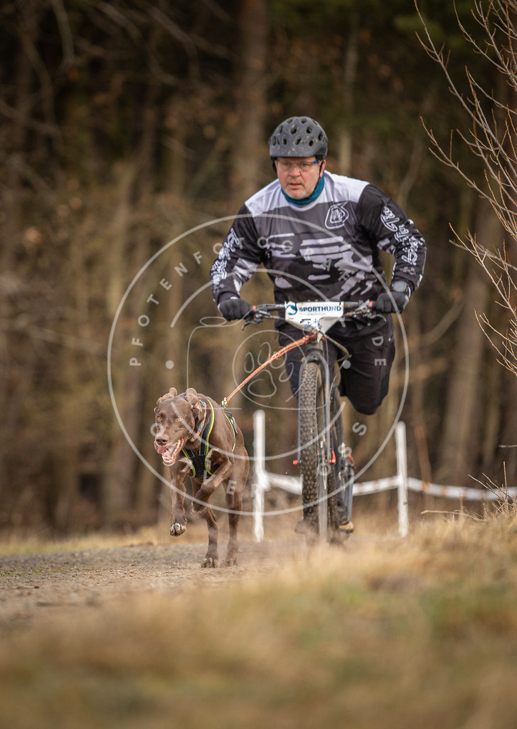 DV3A3446 | Hundefotografie, Tierfotograf, Pfotenfotografie, Fotoshooting Hund, Hunde Portrait, Hundesport, Hundeportraits, Heideshooting, Hunde, Sportfotograf, Hundefotograf, Turnierhundsport, THS,  - Realisiert mit Pictrs.com