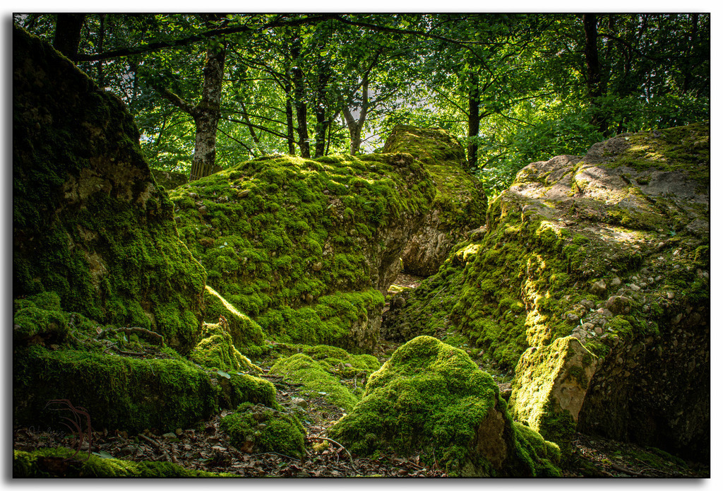 Tierpark Arth-Goldau-9824-Verbessert-RR-Bearbeitet | Holzisphotography, Landschaftsfotografie, Wildlifefotogorafie - Realisiert mit Pictrs.com