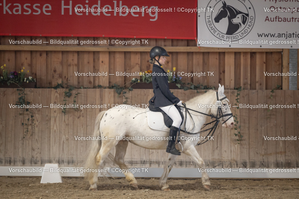 _D5A5666 | Emotionale Pferde- & People-Fotografie rund um Heidelberg, Leimen & Umgebung. Natürliche Fotos von Pferd, Mensch & Familie. Jetzt Termin sichern!