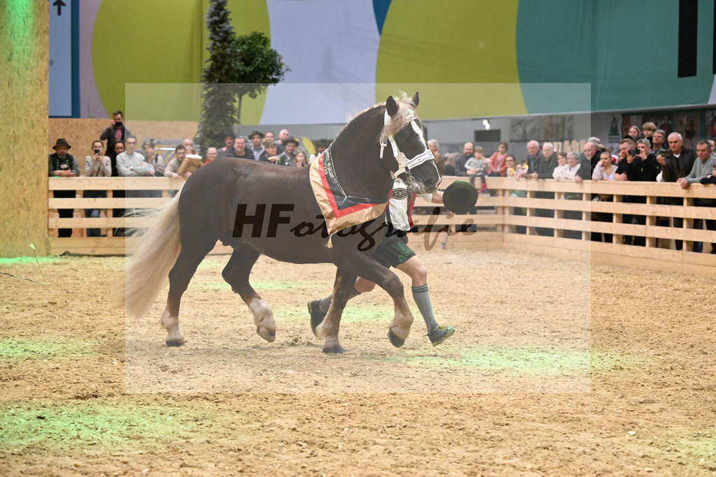 Kat-Nr. 10 Vlado v. Verry_Kotz_1260799 | hf-fotografie - Realisiert mit Pictrs.com