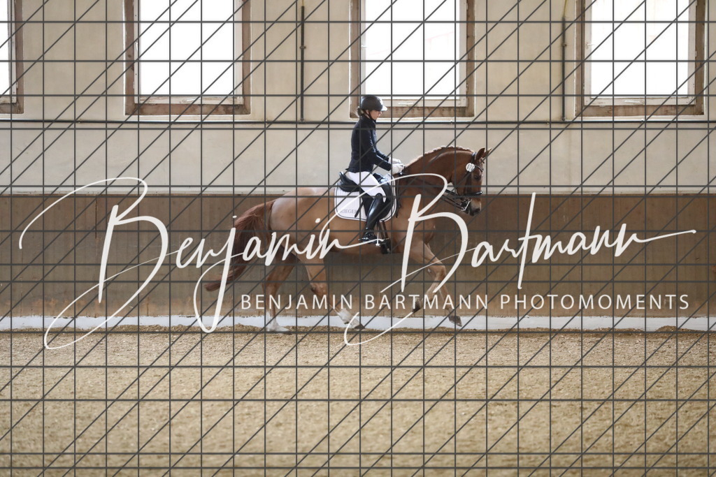 AZ2A1493 | Benjamin Bartmann Photomoments