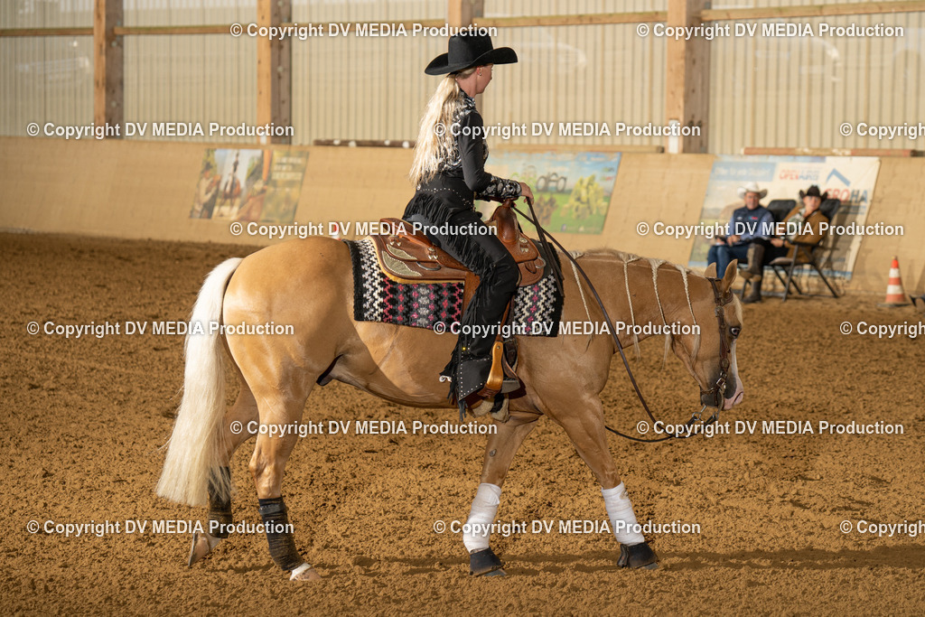 LAU01067 | dv-media-shop - Realisiert mit Pictrs.com