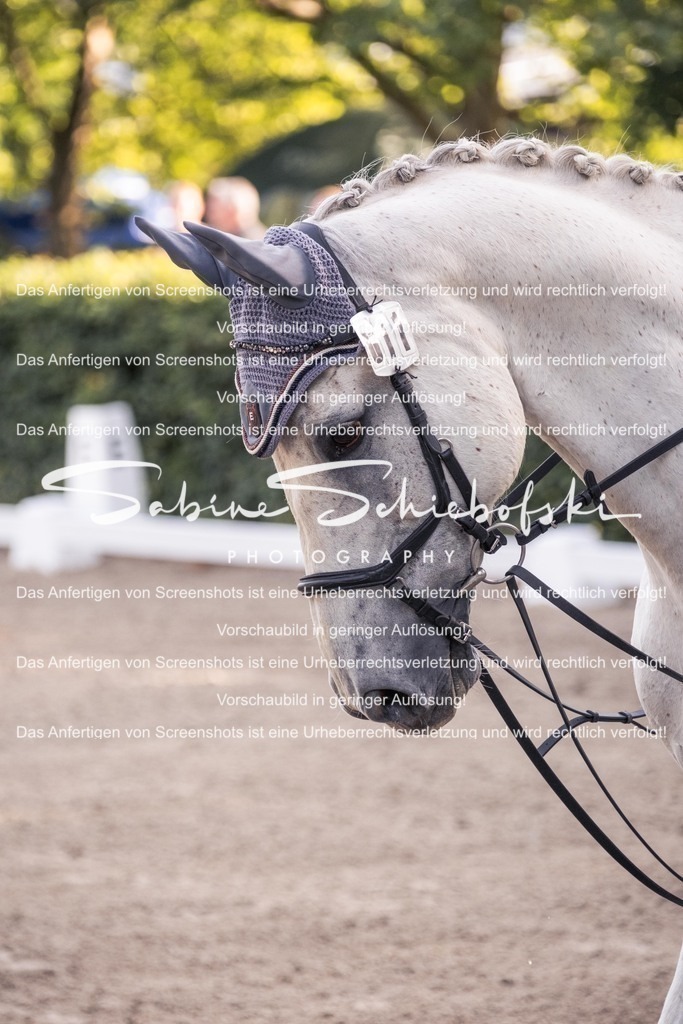 2025_05_31_DSCF2567 | People- und Tierfotografie, Imageaufnahmen, Veranstaltungsfotografie und Wandbilder aus der Natur ★ Made in Germany ✔️ Druck + Downloads ✔️ Naturfotografie in Top Qualität ★ schneller Versand, weltweite Lieferung! - Realisiert mit Pictrs.com