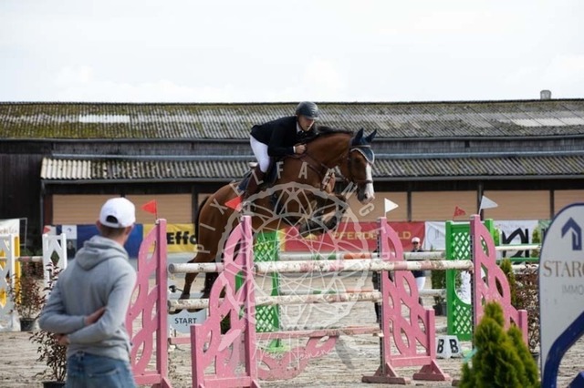 2B4A3640 | pixelfaenger - Realisiert mit Pictrs.com