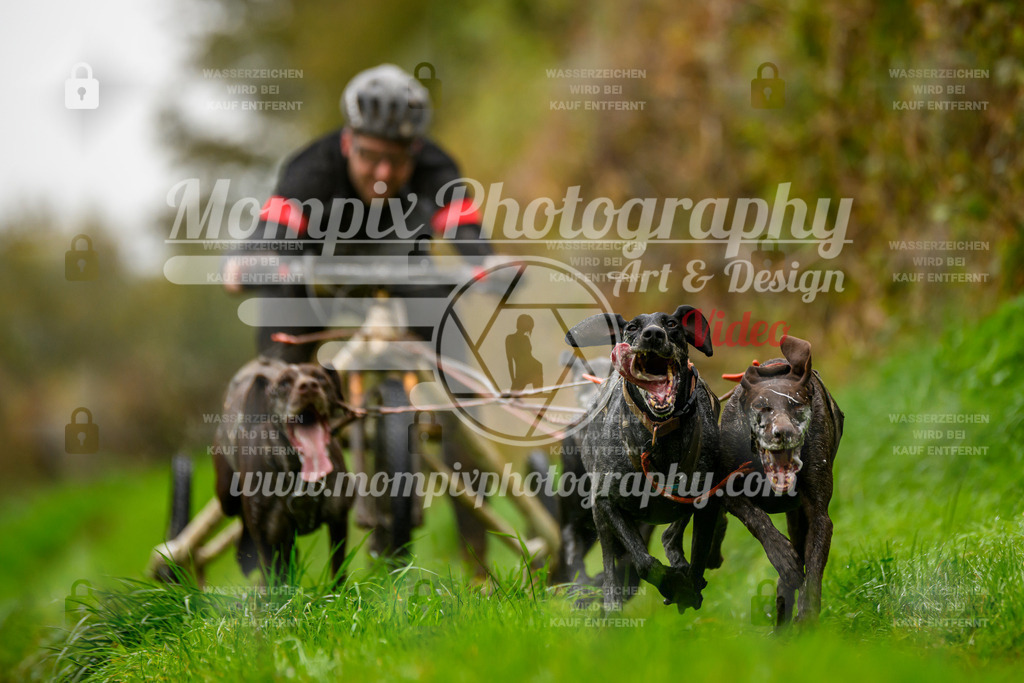 MompixPhotography_20TSB_E8_Kart-11 | PayLife