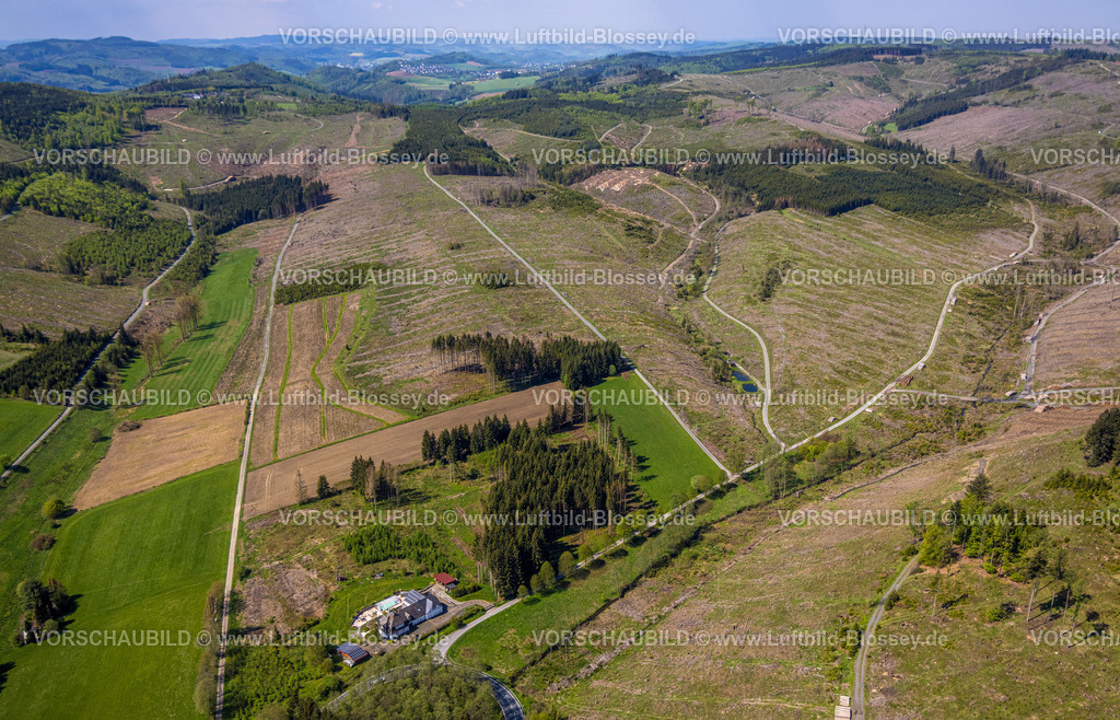 Bestwig230501274 | Luftbild, Waldgebiet mit Waldschäden nördlich von Nuttlar, Altes Forsthaus Am Roh an der Landesstraße L776, Bestwig, Sauerland, Nordrhein-Westfalen, Deutschland