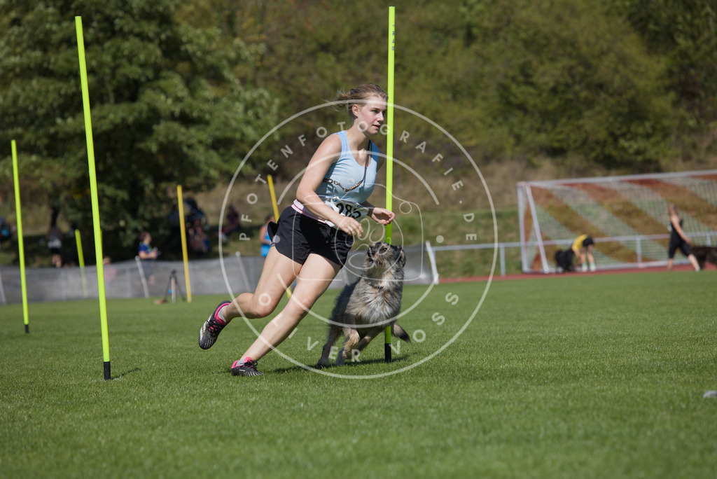 0L8A6909 | Hundefotografie, Tierfotograf, Pfotenfotografie, Fotoshooting Hund, Hunde Portrait, Hundesport, Hundeportraits, Heideshooting, Hunde, Sportfotograf, Hundefotograf, Turnierhundsport, THS,  - Realisiert mit Pictrs.com