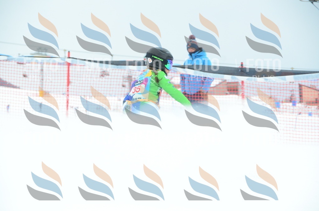 DSC_0865 | holidayphoto