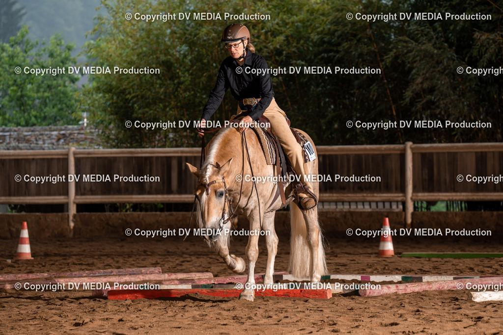 Erbach Tag 3-386 | dv-media-shop - Realisiert mit Pictrs.com