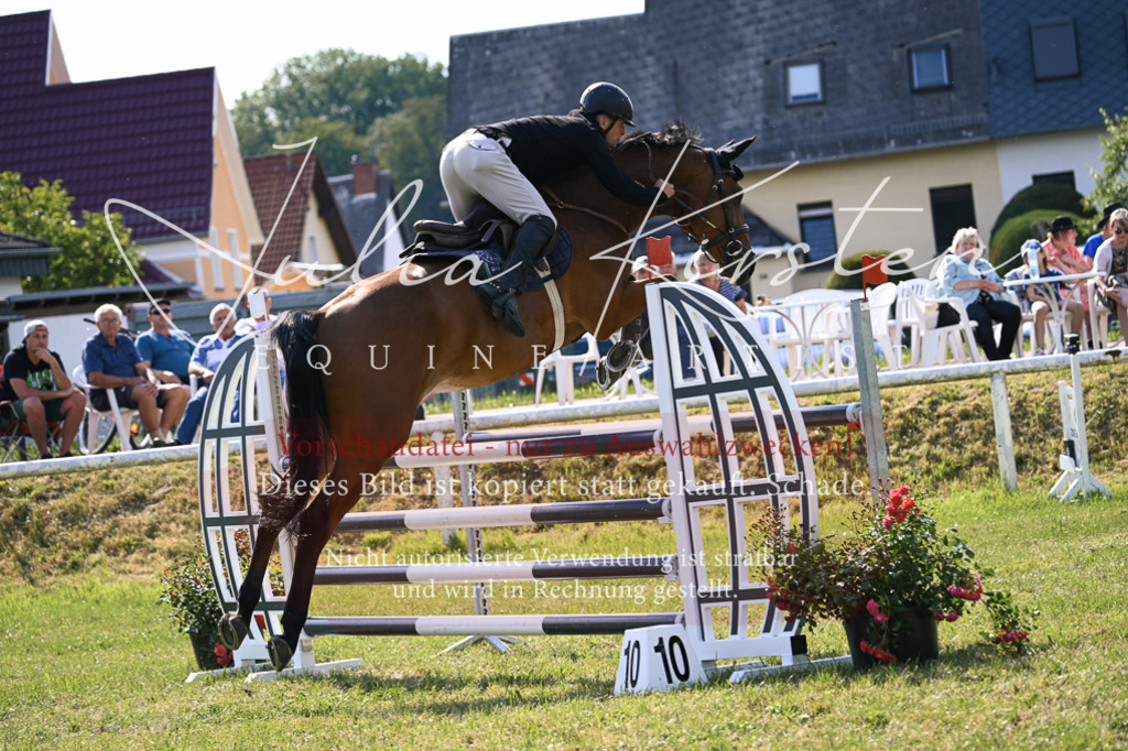 DSC_1098 | Pferde- und Turnierfotografie in Westsachsen. Pferdeportraits, Auftragszeichnungen und intuitive Kunst.