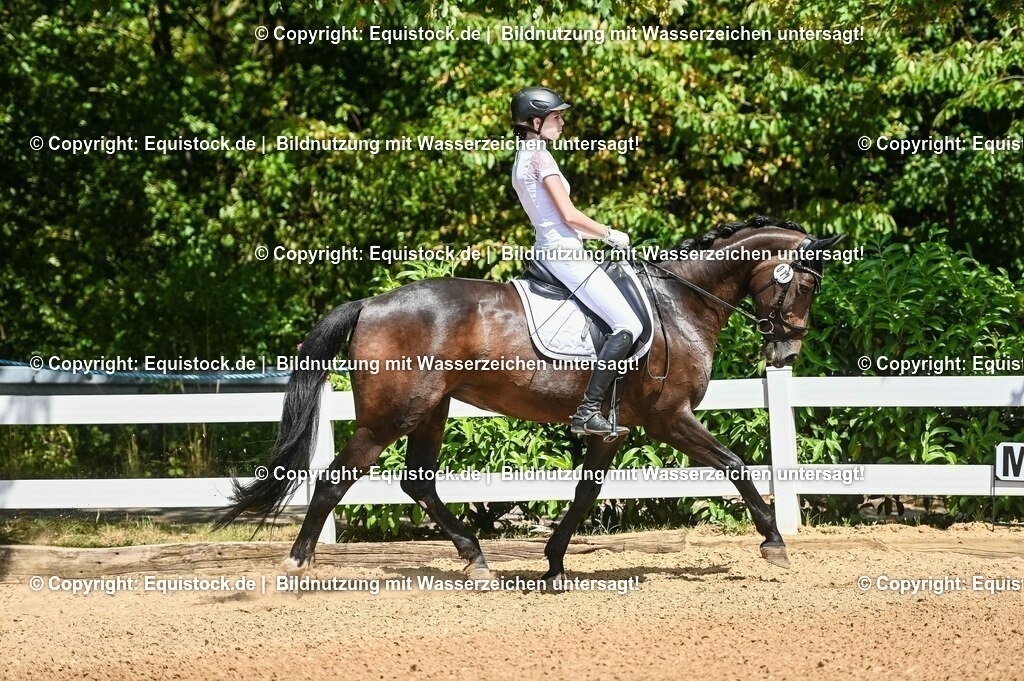 20230715_02_Dressurreiterprüfung Kl.L_0057 | equistock