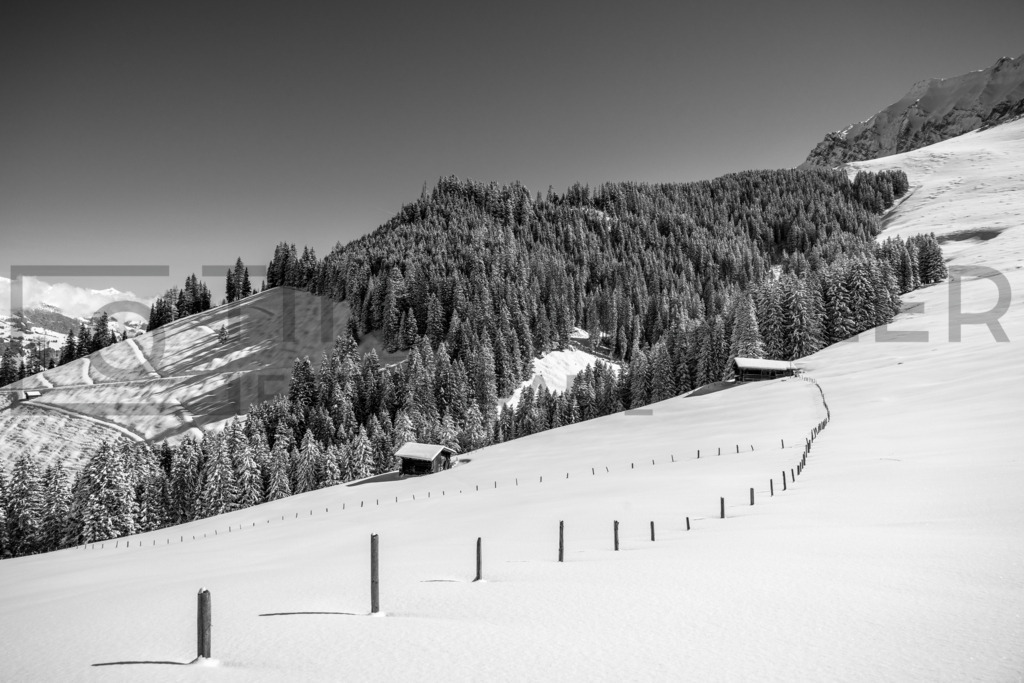 DSC03448 | Tinu Müller Fotografie- Bildershop - Realisiert mit Pictrs.com