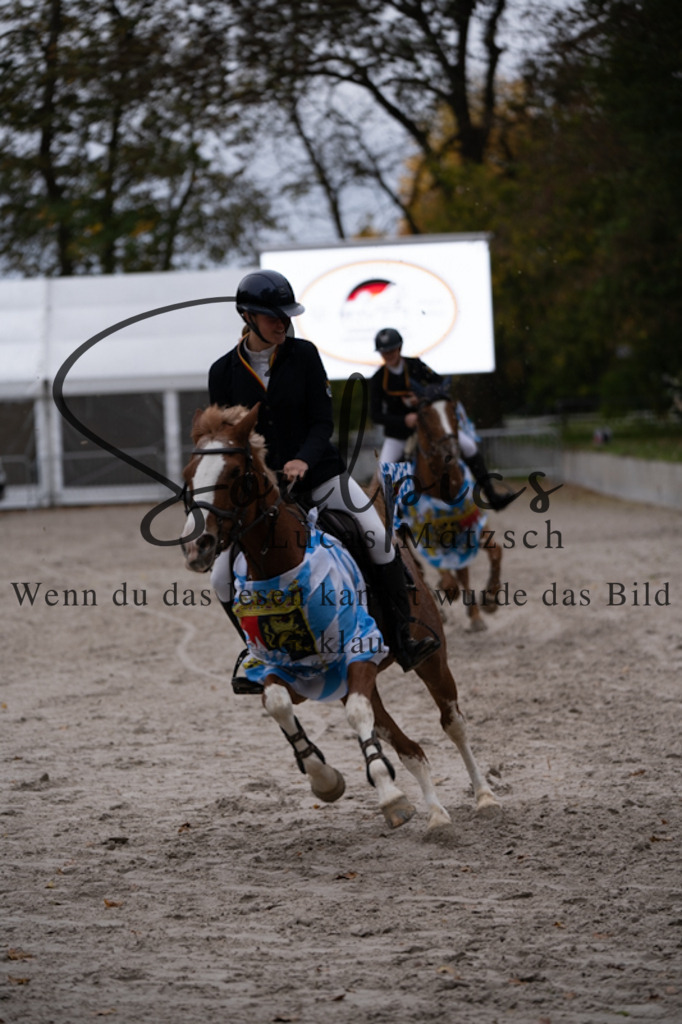 A7V01429 | Pferdefotograf