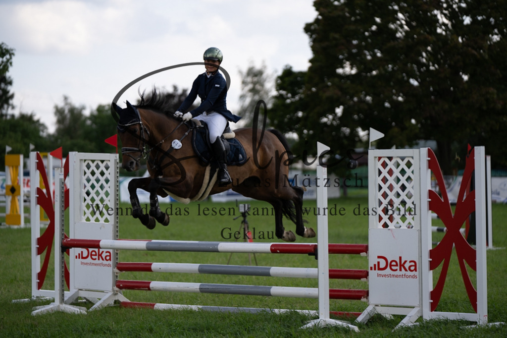 A7V03592 | Pferdefotograf