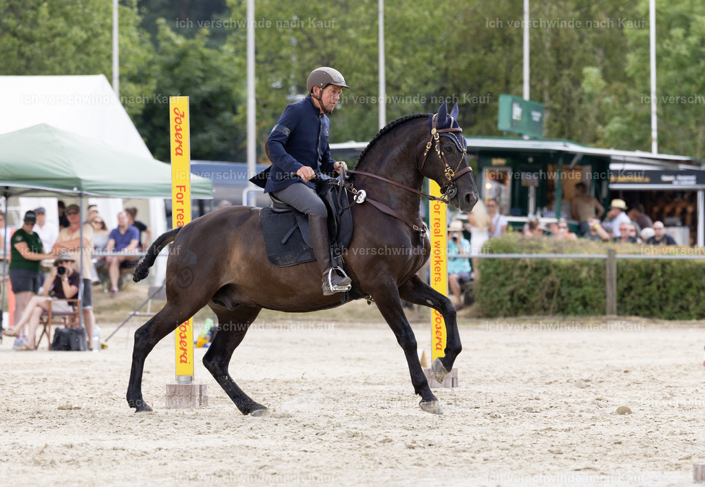 WS_SPEED_37_KerstinBernhardt | working equitationturnier fotograf videograf stoibphotography marixx film working equitation deutschland reitsport turnierfotografie eventfotografie equestrian events