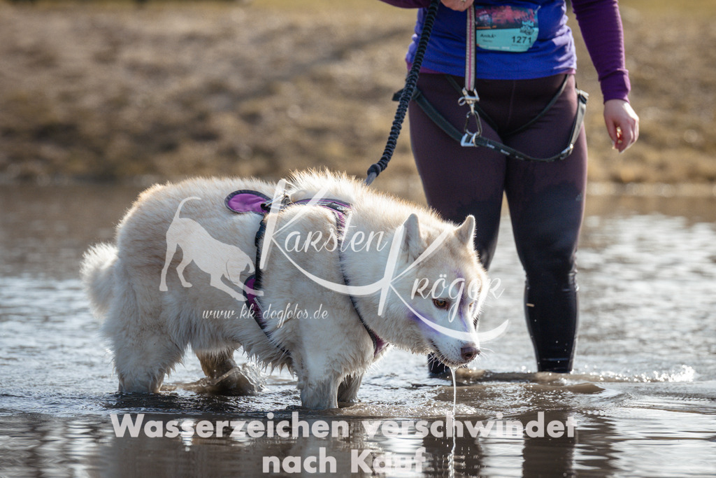 1118_ZZ93693 | kk-dogfotos