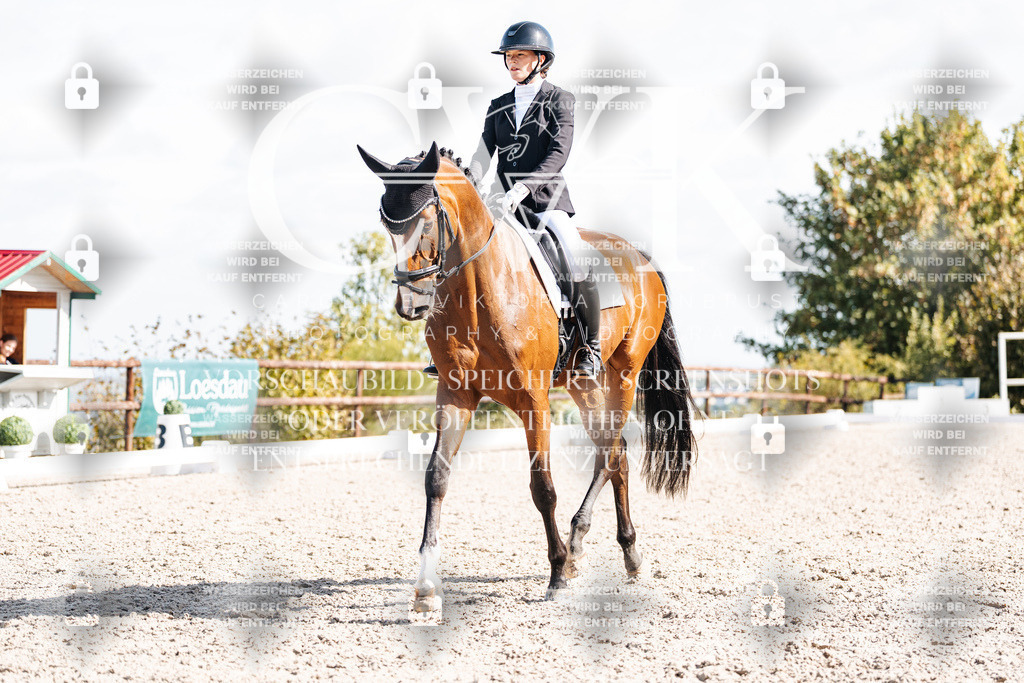 CK902270 | Turnierfotografie Pferdefotografie Trier Rheinland-Pfalz Pferdesport Reitsport Tierfotografie Sportfotografie Pferdevideo Pferdevideografie Equestrianvideography equestrianphotography  - Realisiert mit Pictrs.com