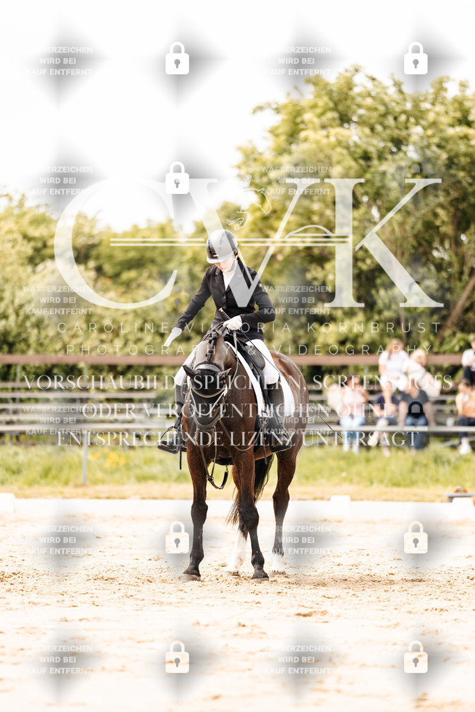 CK902175 | Turnierfotografie Pferdefotografie Trier Rheinland-Pfalz Pferdesport Reitsport Tierfotografie Sportfotografie Pferdevideo Pferdevideografie Equestrianvideography equestrianphotography  - Realisiert mit Pictrs.com