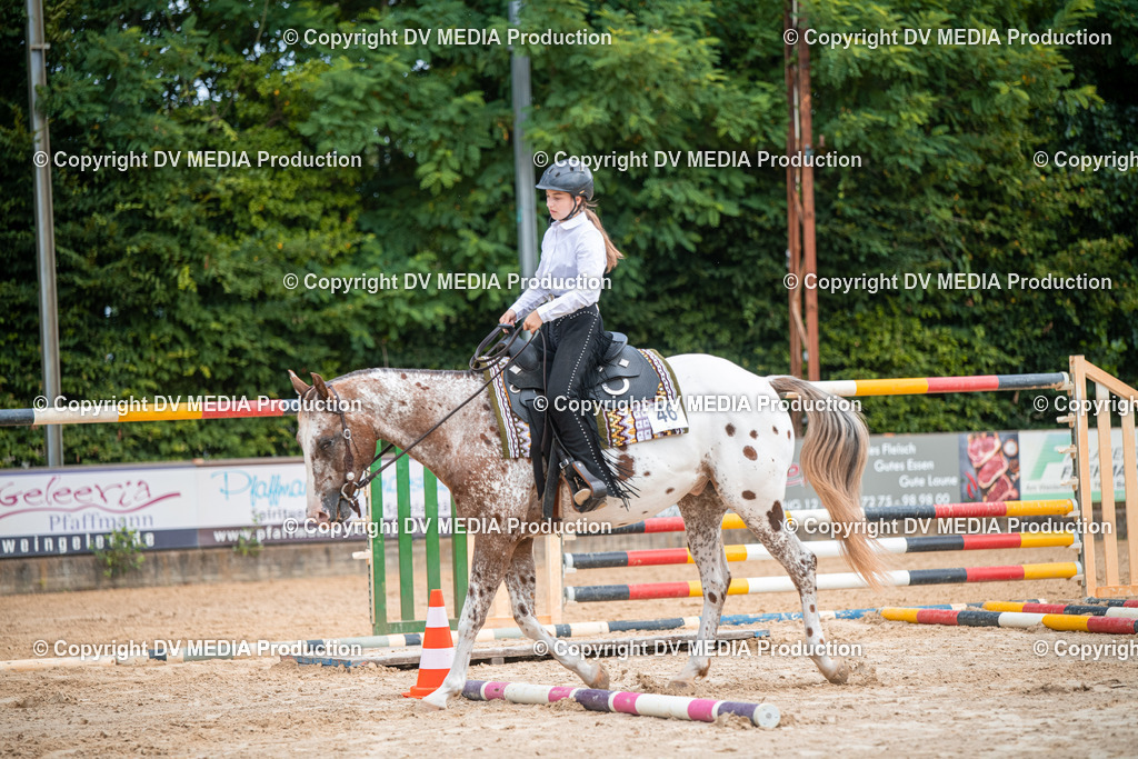 ZS2_7583 | dv-media-shop - Realisiert mit Pictrs.com