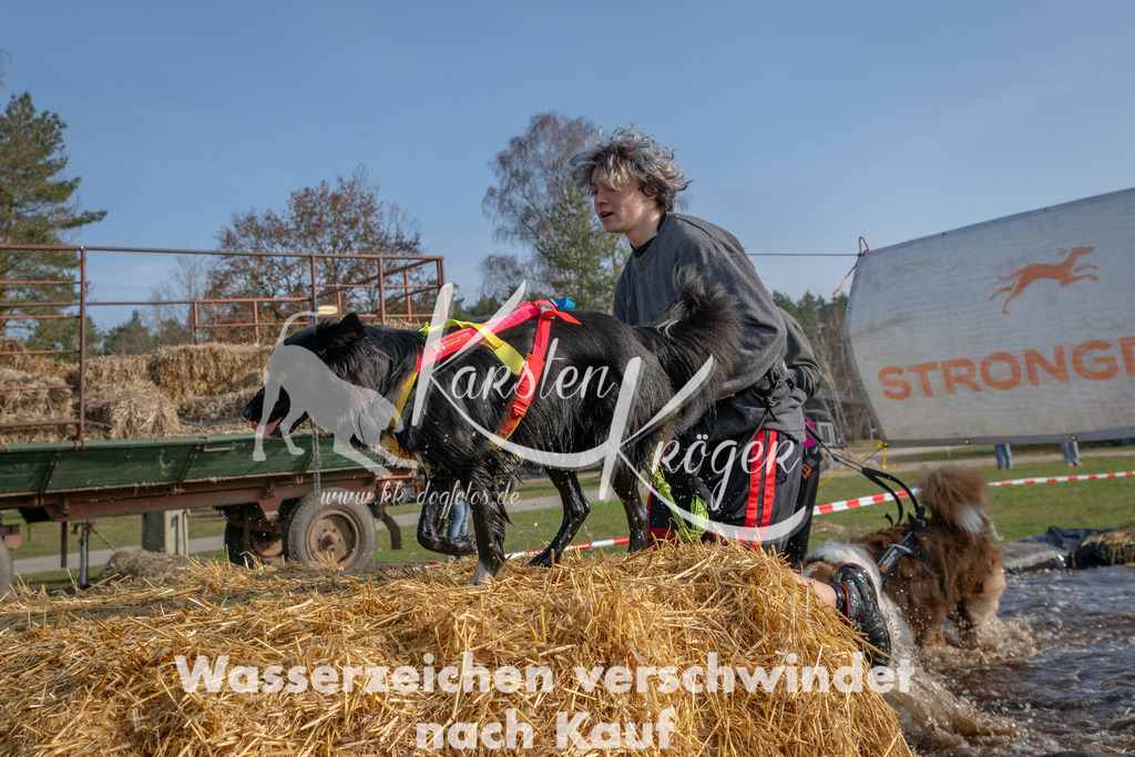 _ZZ94785 | kk-dogfotos