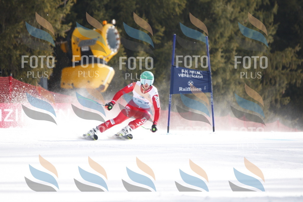 D7507 | holidayphoto