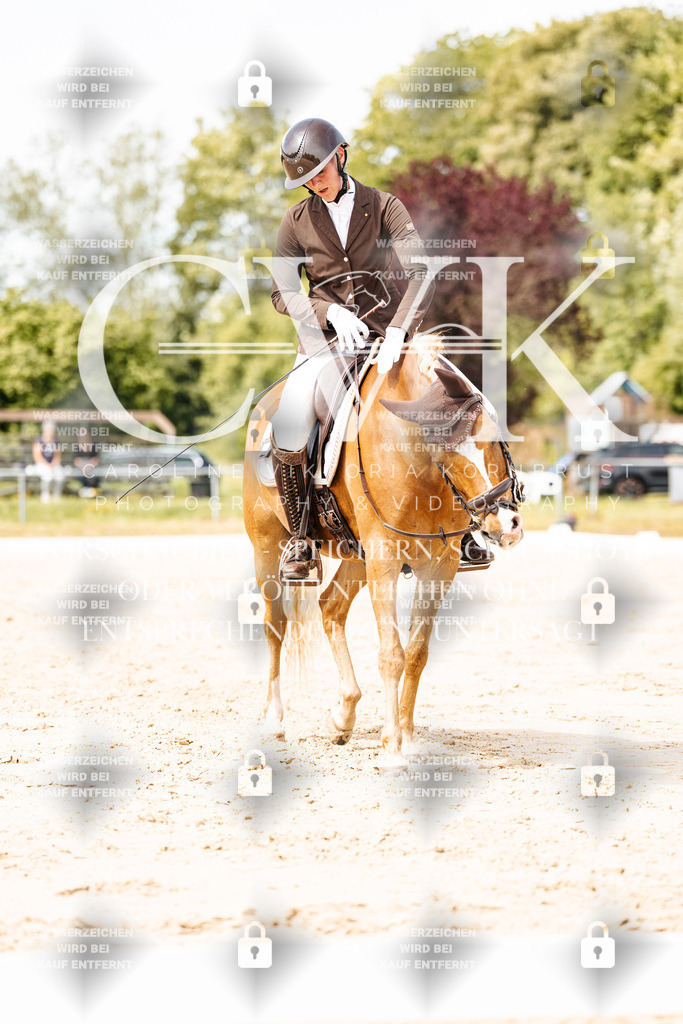 CK901448 | Turnierfotografie Pferdefotografie Trier Rheinland-Pfalz Pferdesport Reitsport Tierfotografie Sportfotografie Pferdevideo Pferdevideografie Equestrianvideography equestrianphotography  - Realisiert mit Pictrs.com