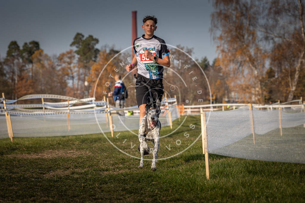 CaniXpix_0L8A9588 | Hundefotografie, Tierfotograf, Pfotenfotografie, Fotoshooting Hund, Hunde Portrait, Hundesport, Hundeportraits, Heideshooting, Hunde, Sportfotograf, Hundefotograf, Turnierhundsport, THS,  - Realisiert mit Pictrs.com
