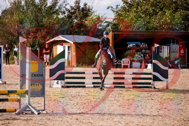 2026_10_03_Siefer-Hof_154649_Z81_65720638 | Professionelle Reitsport-, Turnier- und Eventfotografie von Robert Broda. Galerien mit ausgewählten und bearbeiteten Bildern direkt online ansehen und bestellen.