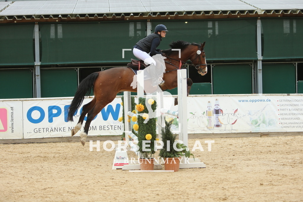 DL2Q6087 | Willkommen bei Brunnmayr - Design & Fotografie – Ihrem Spezialisten für Reitturniere und Pferdeveranstaltungen in Oberösterreich, Salzburg und Bayern! Seit über 17 Jahren sind wir leidenschaftlich dabei.