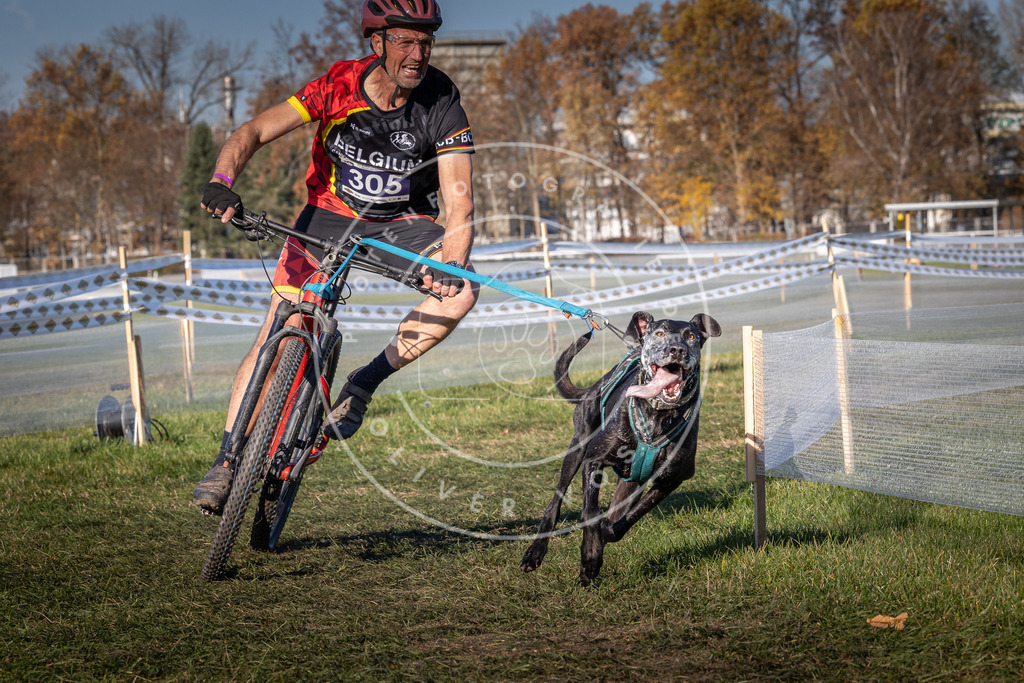 CaniXpix_0L8A5497 | Hundefotografie, Tierfotograf, Pfotenfotografie, Fotoshooting Hund, Hunde Portrait, Hundesport, Hundeportraits, Heideshooting, Hunde, Sportfotograf, Hundefotograf, Turnierhundsport, THS,  - Realisiert mit Pictrs.com