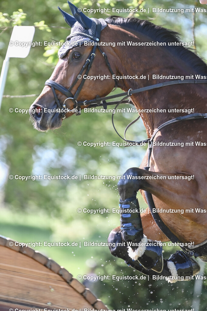 TS_20250517_CCI2_Gelände_0807 | Foto: Thomas Hartig