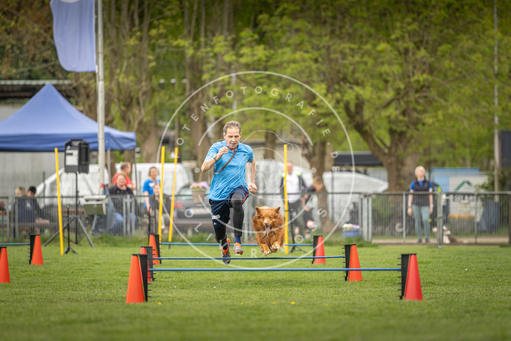 Pfotenfotografie_DV3A8217 | Hundefotografie, Tierfotograf, Pfotenfotografie, Fotoshooting Hund, Hunde Portrait, Hundesport, Hundeportraits, Heideshooting, Hunde, Sportfotograf, Hundefotograf, Turnierhundsport, THS,  - Realisiert mit Pictrs.com